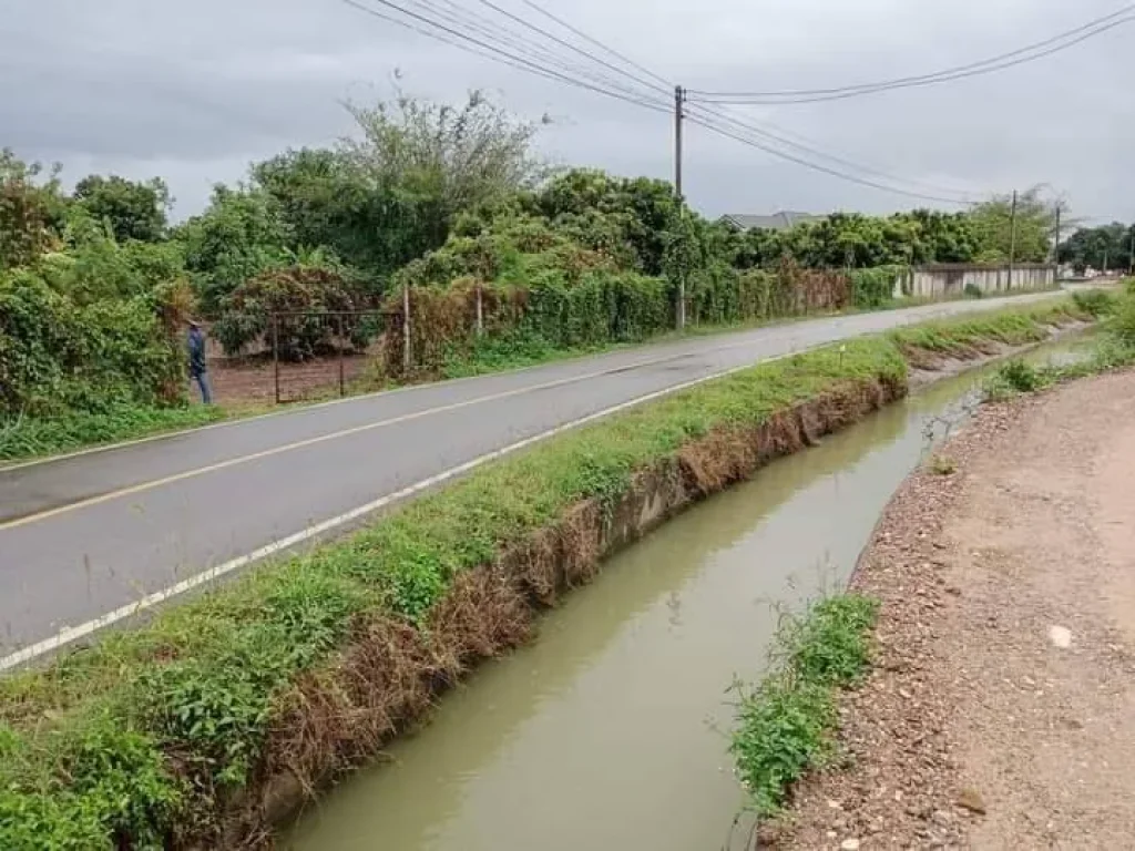 ขายที่ดินหนองเขียวแม่ริมเหมืองแก้วติดคลองชลประทานโฉนด