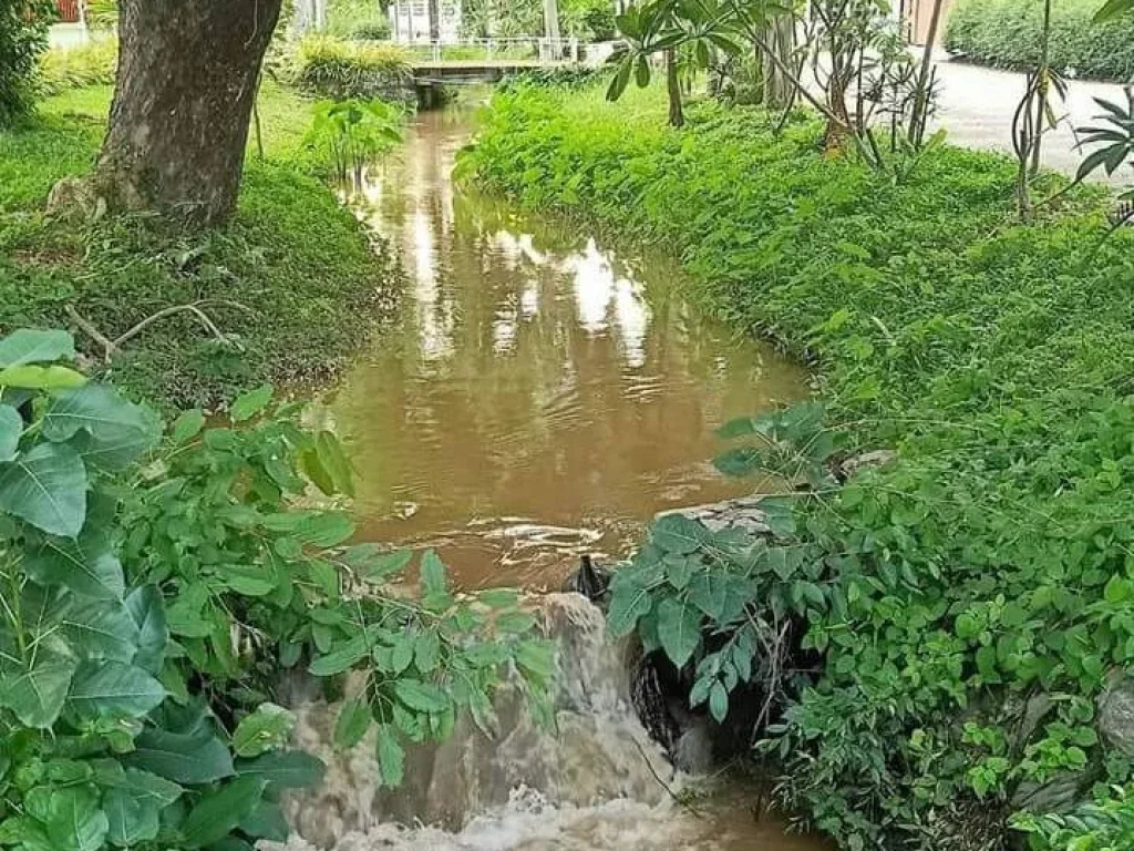 ให้เช่าโรงงาน พื้นที่ 5000 ตรม ติดถนนใหญ่ อสองพี่น้อง สุพรรณบุรี