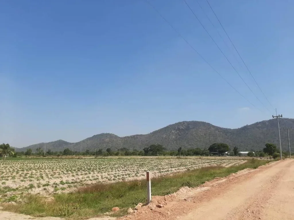 ขายที่ดินแปลงสวย ที่ดินจัดสรร สวนเกษตร อำเภอเลาขวัญ จังหวัดกาญจนบุรี