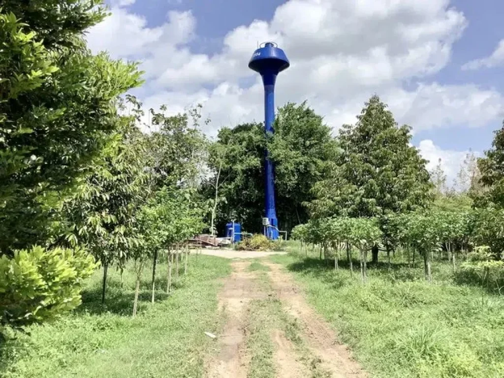 ขายที่สวนทุเรียนปราจีนบุรี 3 ไร่ 2 งาน 89 ตรว ตำบลดงขี้เหล็ก อำเภอเมืองปราจีนบุรี