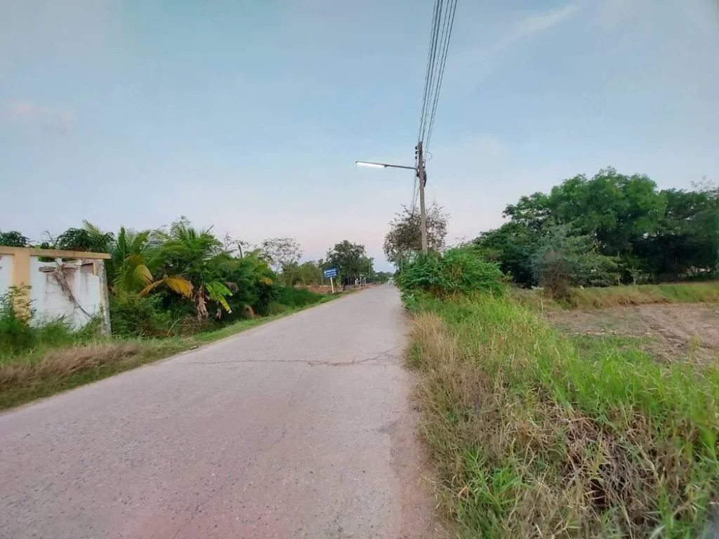 ขายที่ดินในตัวเมือง บรรยากาศดี ที่สวย เหมาะสำหรับทำหมู่บ้านจัดสรร รีสอร์ท หรือทำธุรกิจได้หลายอย่าง อเมือง จชัยภูมิ