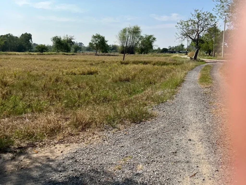 ขายที่ดินด้านหลังวิวภูเขา ที่ดินอยู่บ้านบุ่ง ตสาริกา อเมืองนครนายก จนครนายก