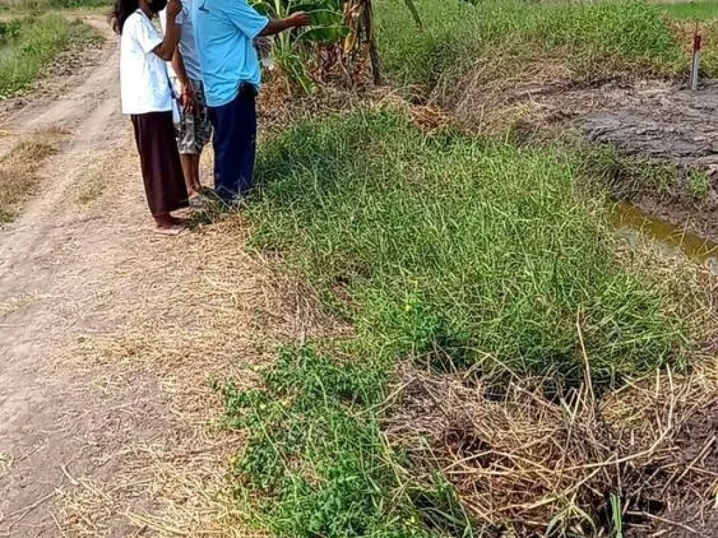 ขายที่ดินเปล่า 2 ไร่ อำเภอไทรน้อยบางบัวทอง จังหวัดนนทบุรี