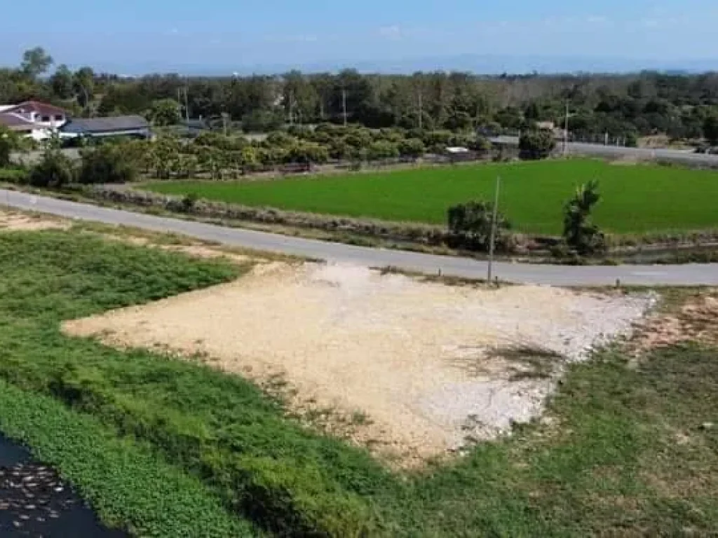 ขายที่ดินติดถนนคอนกรีตห่างโรงพยาบาลลำพูนเพียง 4 km บ้านต้นธงลำพูน