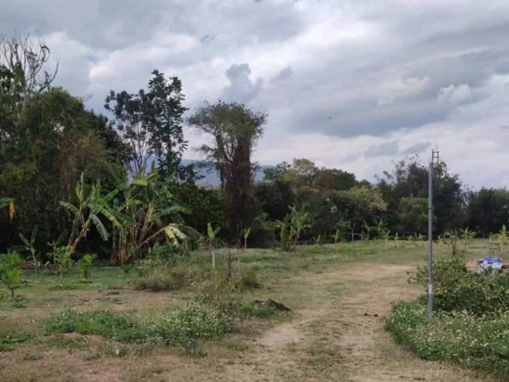 ขายที่ดินตำบลสุเทพบ้านช่างทองติดถนนคอนกรีตวิวดอยพร้อมโอน