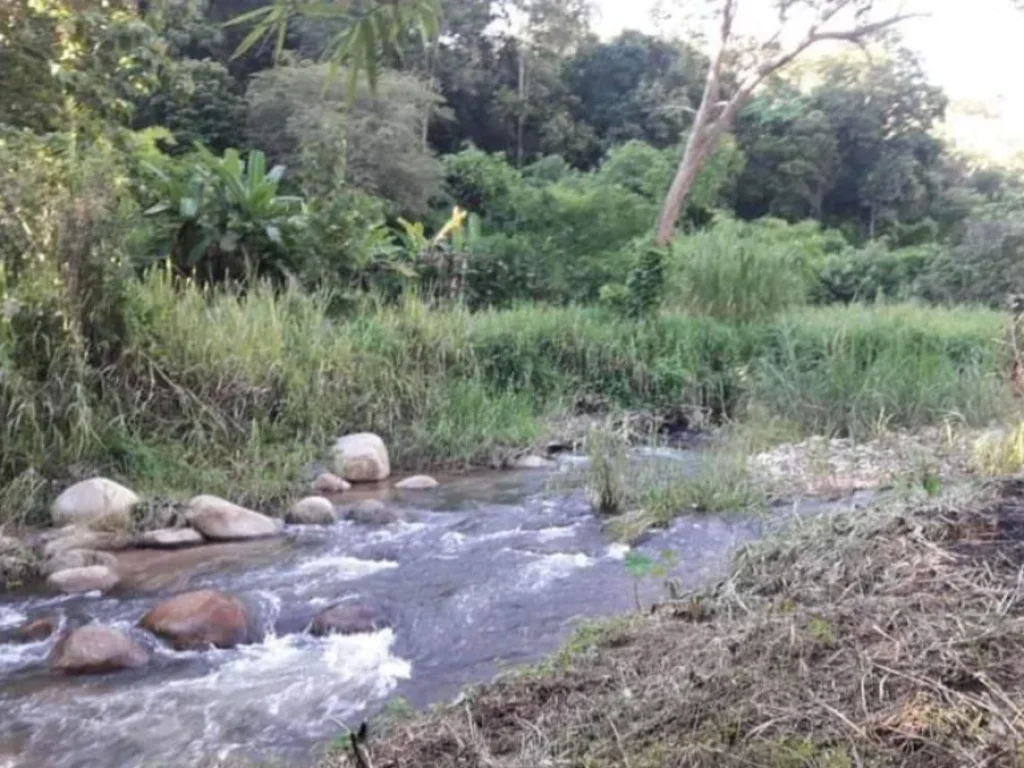 ขายที่ดินติดลำธารน้ำไหลผ่านโขดหินป่าเมี่ยงดอยสะเก็ตเอกสารครอบครองสิทธิ์