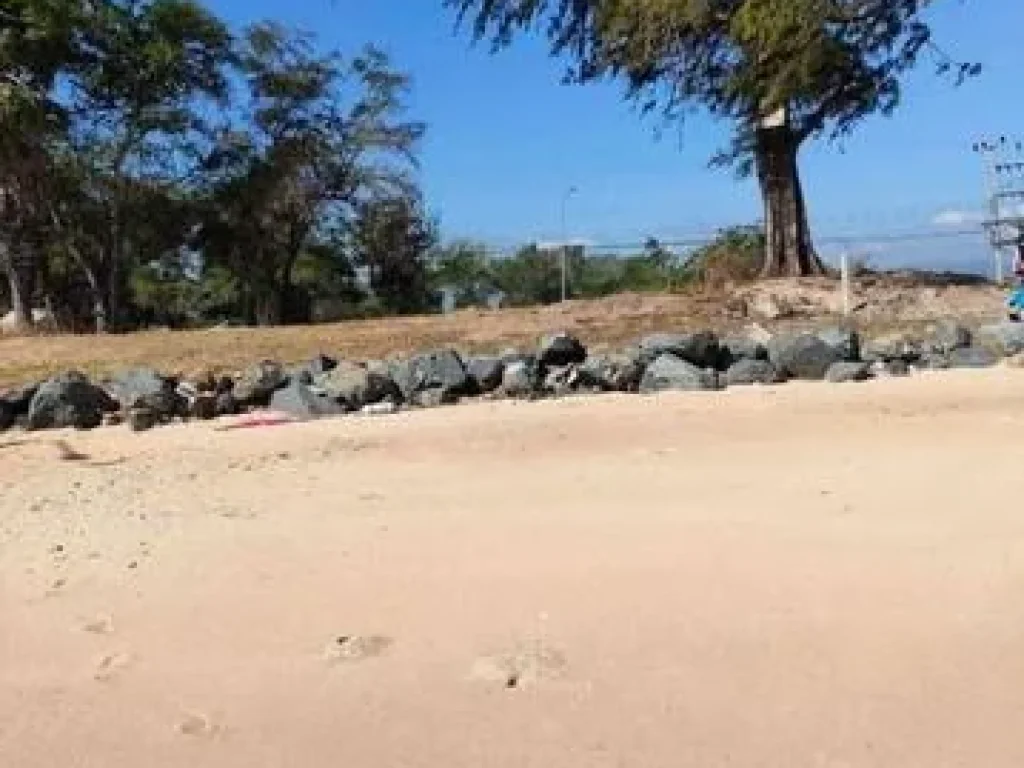 ขาย ที่ดิน ติดทะเลหาดทรายขาวตำบลอ่าวน้อยประจวบคีรีขันธ์ ที่สูงไม่ต้องถมเหมาะทำธุรกิจหลากหลาย