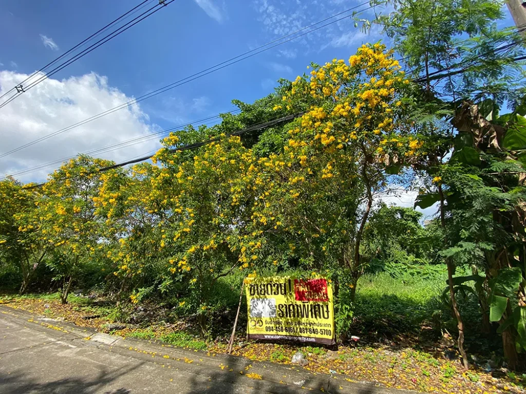 ขายที่ดินเปล่า ทำเลดีมาก เนื้อที่ 324 ตรว ใกล้สนามบินน้ำ ซอยนนทบุรี46 จนนทบุรี