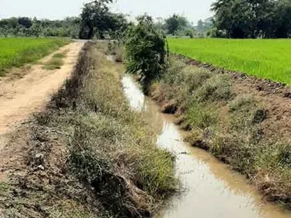 ขายที่ดินเหมาะทำการเกษตร มีน้ำตลอดปี สามชุก สุพรรณบุรี