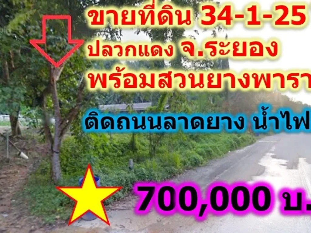 ขาย ที่ดินมีโฉนด พร้อมสวนยางพารากรีดแล้ว 34 ไร่ ติดถนนลาดยาง ระยอง