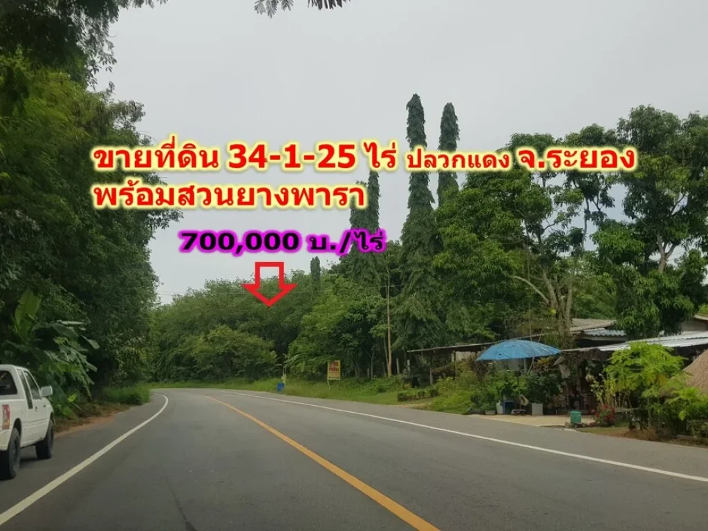 ขาย ที่ดินมีโฉนด พร้อมสวนยางพารากรีดแล้ว 34 ไร่ ติดถนนลาดยาง ระยอง