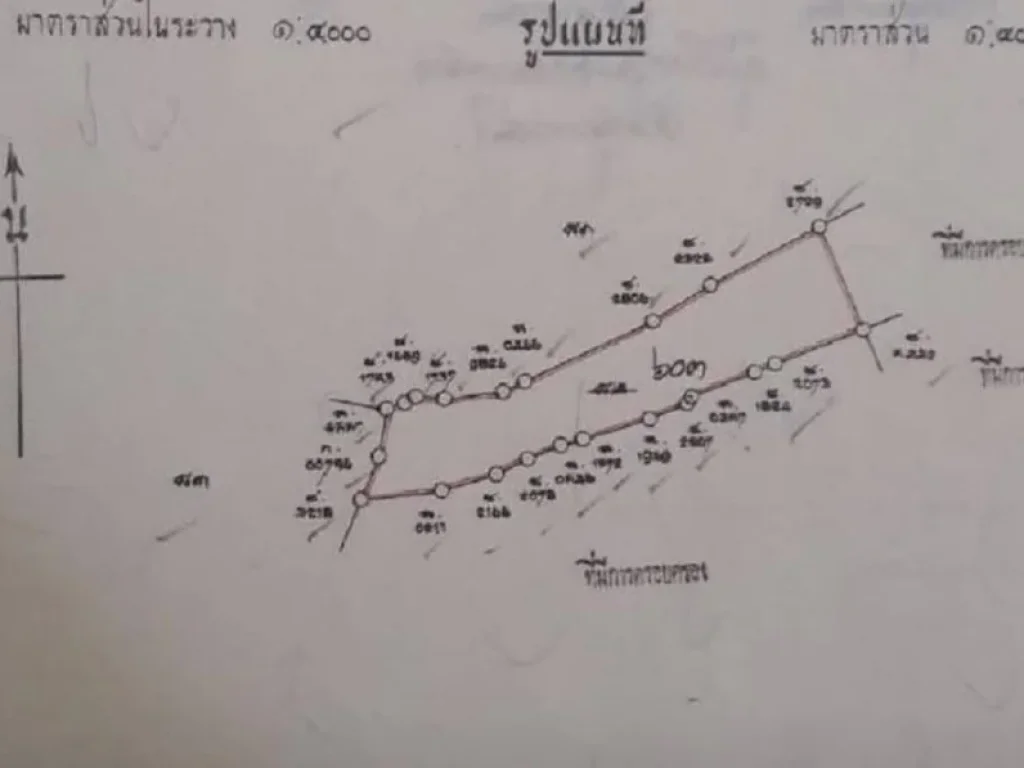 ขายที่นา นา 15 ไร่ ปัจจุบัน ที่ใกล้เคียงจะนิยมปลูกปาล์ม หน้าสถานีรถไฟตทุ่งคา อเมือง จชุมพร