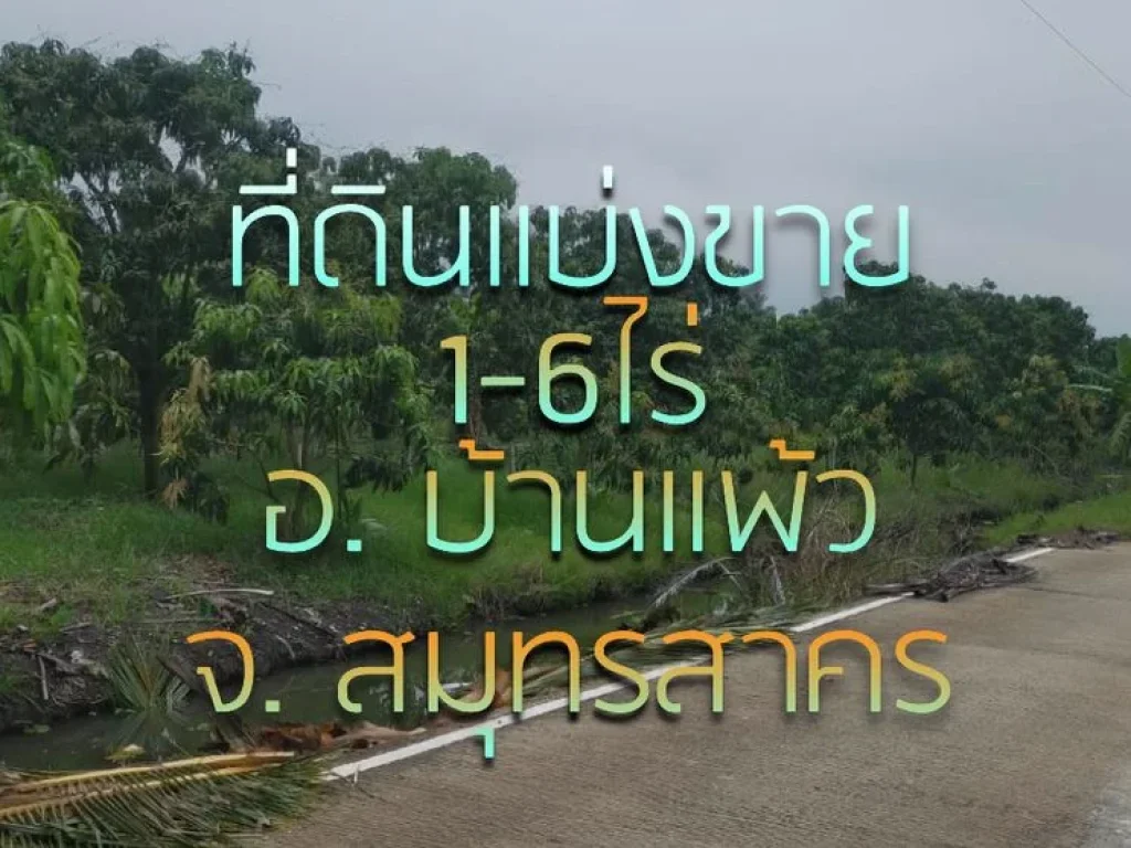 ที่ดินแบ่งขาย สวนมะม่วง 1-6 ไร่ ติด ถ สาธารณะ 13 กมถึง ถเส้นหลัก บ้านแพ้ว- สมุทรสาคร ใกล้ อบต และ ปตท บ้านแพ้ว