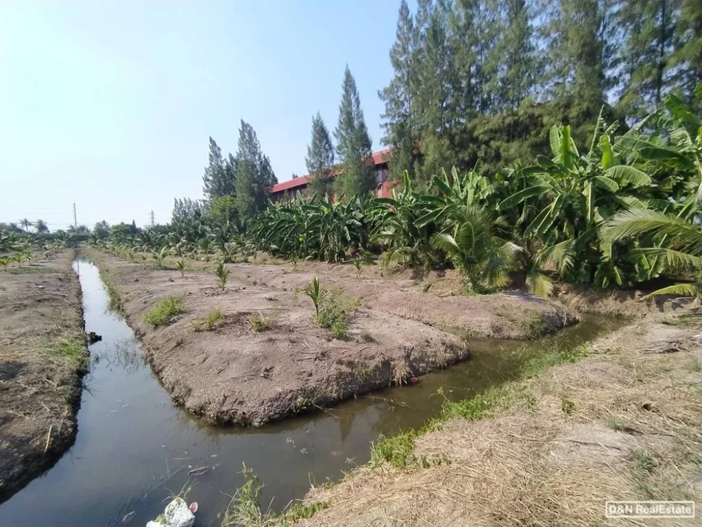 ขาย ที่ดิน 3 ไร่ บ้านเกาะ สมุทรสาคร เชิงสะพานตรงข้ามวัดบางปลา ที่สวน น้ำไฟพร้อม มีถนนเข้าถึง