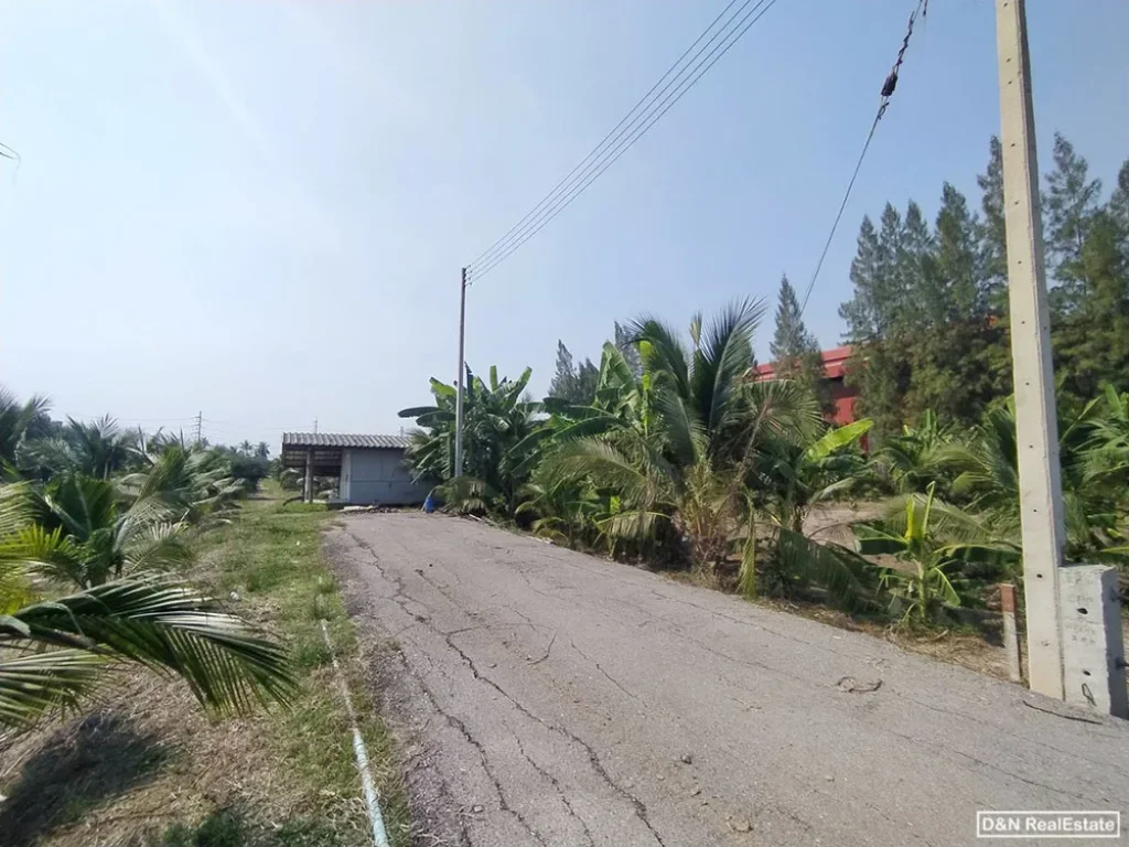 ขาย ที่ดิน 3 ไร่ บ้านเกาะ สมุทรสาคร เชิงสะพานตรงข้ามวัดบางปลา ที่สวน น้ำไฟพร้อม มีถนนเข้าถึง