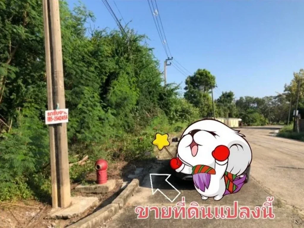 พื้นที่ดิน ที่ดินจัดสรร หมู่บ้านกฤษดานคร 25 ธานนท์ กอล์ฟวิว แอนด์ สปอร์ตคลับ 368 ตารางวา 4900000 THAI BAHT ราคา-ถูก กรุงเทพ