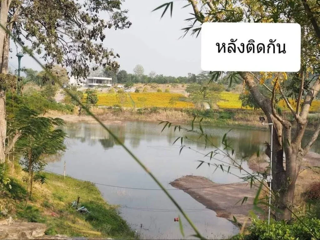 ขายที่เขาใหญ่ 28 ไร่ ขายถูกไร่ละ 1000000 คลองม่วง วังไทร เขาใหญ่ ปากช่อง ติดถนนดำ วิวเขาสวยมาก ติด harmony เหมาะทำจัดสรร ซื้อเก็บ ที่สวย ถูกมาก