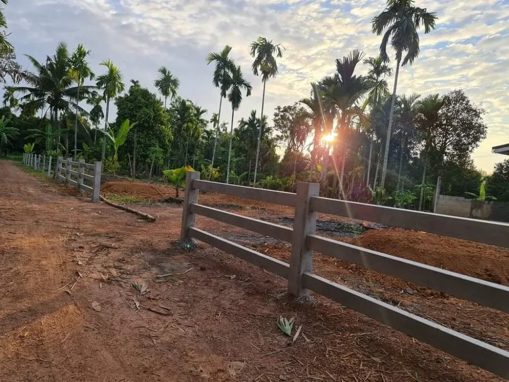 ขายบ้านลอฟท์พร้อมสวนผสมด้านข้างติดคลอง เหมาะสำหรับพักผ่อนวัยเกษียณบรรยากาศดีมากๆโอโซนดี อแกลง จระยอง