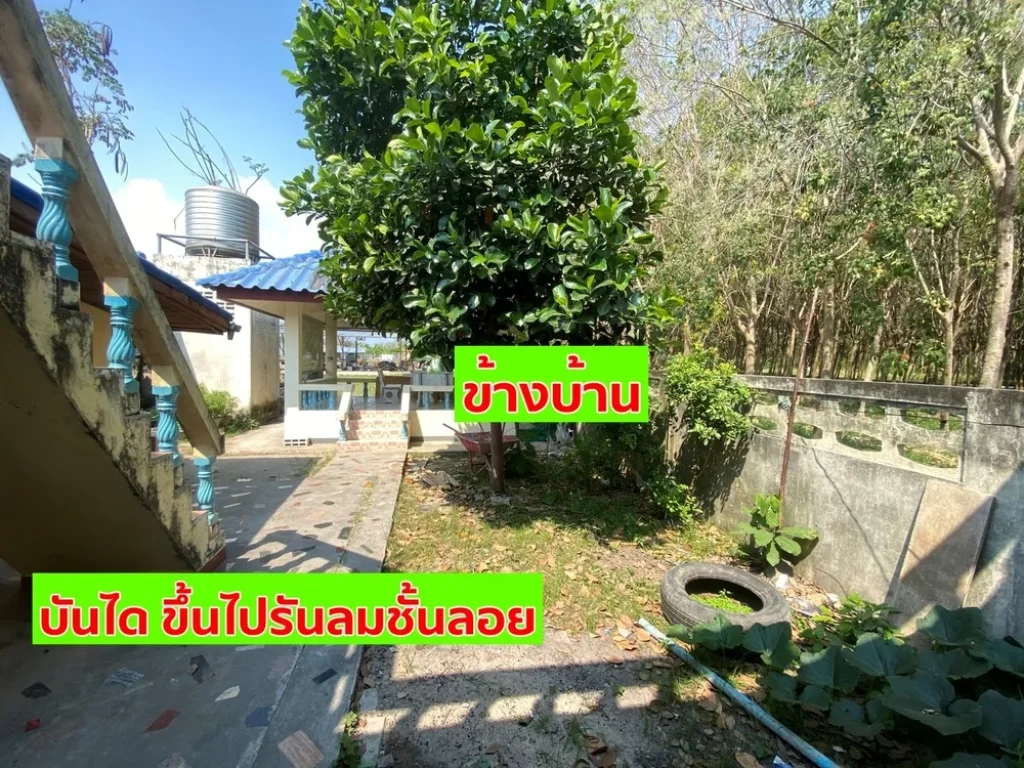 ขายที่ดินพร้อมบ้าน 2 ไร่ 88 ตรวา ทำเลดี ใกล้ถนนสุขุมวิท เนินพระ ระยอง