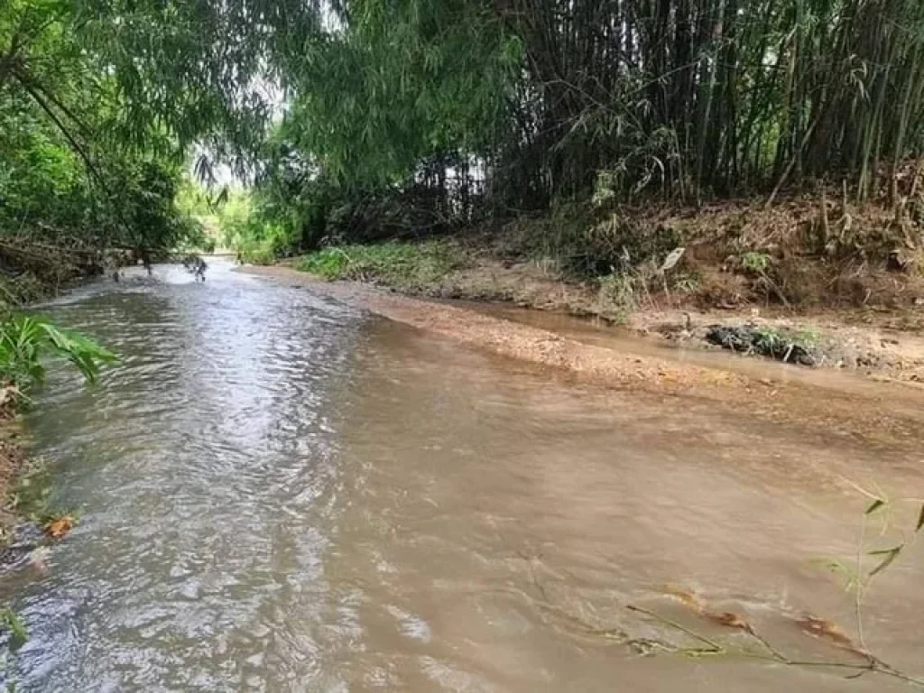 ขายที่ดินวิวภูเขา บ้านพักตากอากาศ บ้านวัยเกษียณ ใกล้ลำธารสาธารณะ น้ำ ไฟพร้อม มีโฉนด สำนักทอง ระยอง