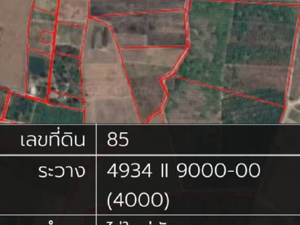 ขายที่ดิน 3 ไร่ 2 งาน 92 ตรว ตไร่ใหม่พัฒนา อชะอำ จเพชรบุรี