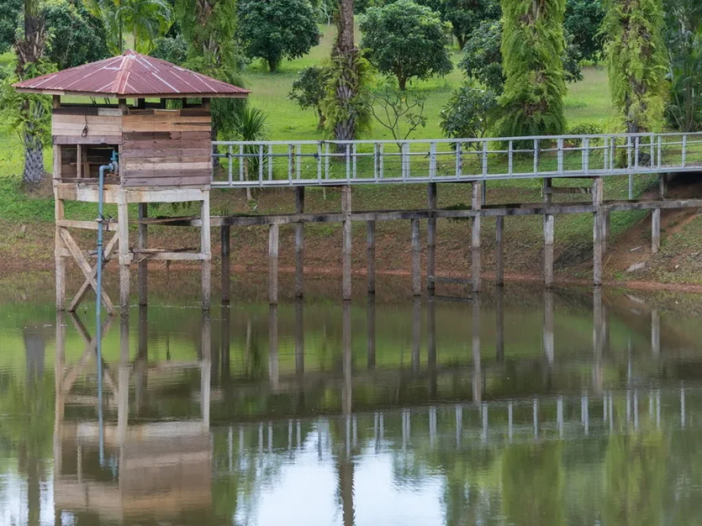 ผืนดินใหญ่กว่า 110 ไร่ ในอ้อมกอดแห่งเขาค้อ บรรยากาศดี เหมาะทำป็นสวนผลไม้ อำเภอเขาค้อ จังหวัดเพชรบูรณ์