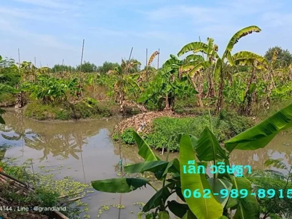 ขาย ที่ดินคลอง 11 หนองเสือ ใกล้วัดป่าคลอง 11 เนื้อที่ 80-1-70 ไร่ รูปแปลงสี่เหลี่ยมผืนผ้า