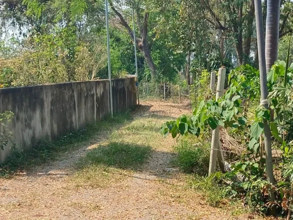 ขายที่ดินสันป่าตองบ้านแมหางดงวิวดอยเงียบสงบโฉนดพร้อมโอน