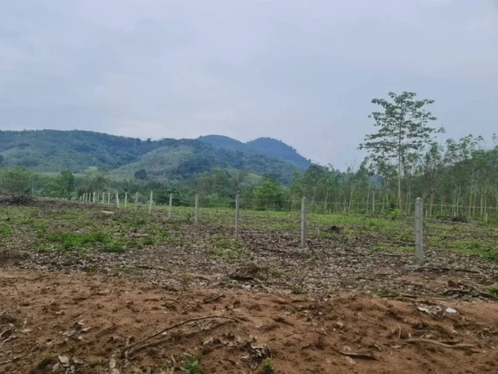 ขายที่ดินวิวภูเขา ติดลำธาร ที่ดินแปลงเล็ก มีโฉนดพร้อมโอน บางบุตร บ้านค่าย ระยอง