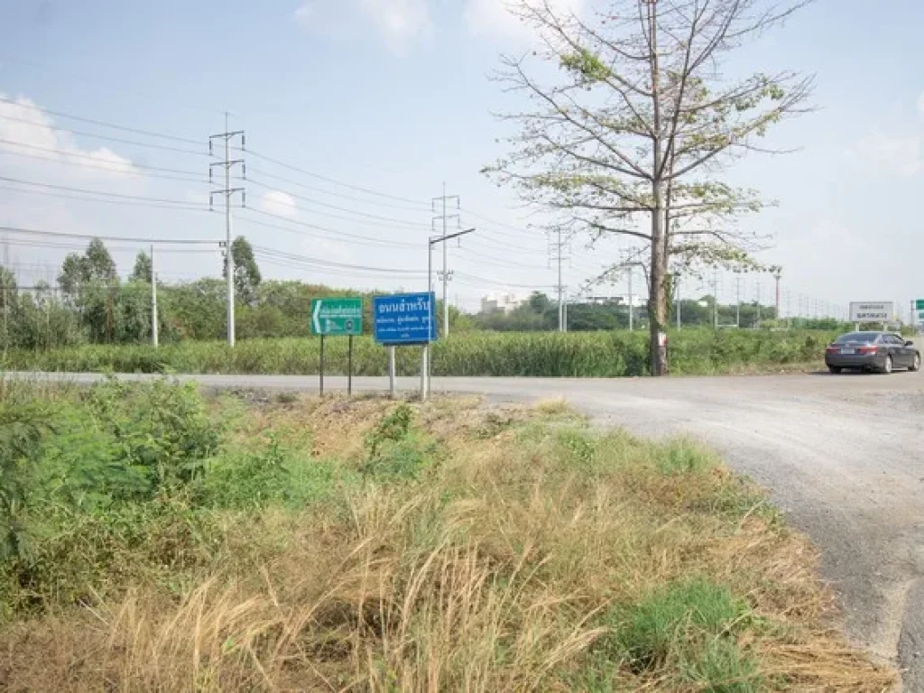 ขาย ที่ดิน ติดถนนสายเอเชีย ตบ่อโพง อนครหลวง อยุธยา