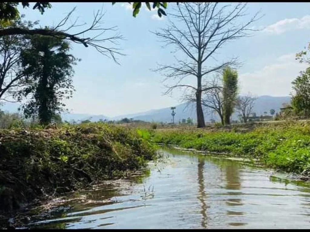 ขายที่สวนวิวภูเขาติดแม่น้ำยาว 200เมตรบ้านหลวงจอมทองโฉนด