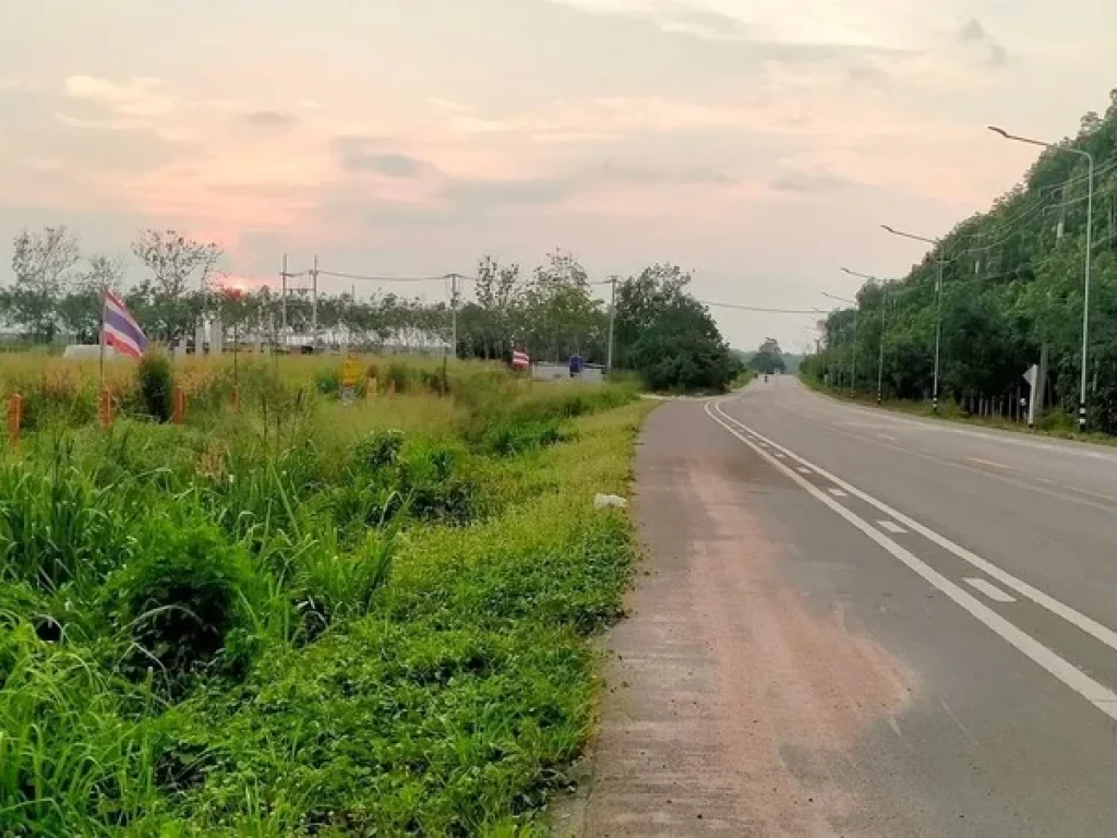 ขายที่ดินใกล้วัดละหารไร่วัดหลวงปู่ทิมติดถนนหลักเจ้าของขายเอง