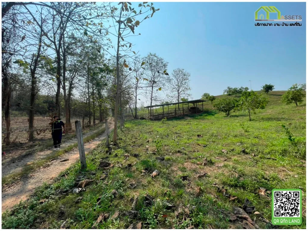 ที่ดินบนเนินสวย บรรยากาศดี บ้านท่าปลา จังหวัดอุตรดิตถ์ โฉนดพร้อมโอน