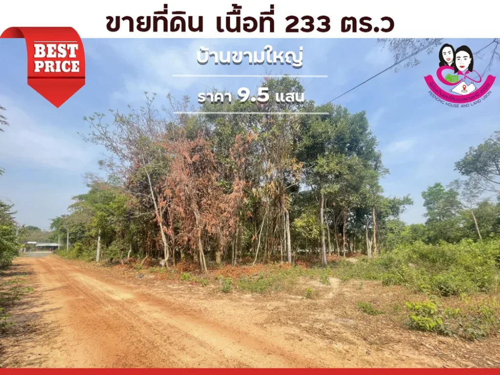 ขายที่ดิน ห่างจากถนนทุ่งหลวงเพียง 50เมตร ใกล้อนามัยขามใหญ่