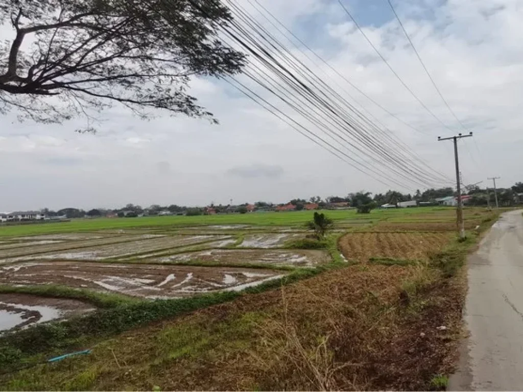 ขายที่ดิน 19 ไร่ ใกล้ถนนซุปเปอร์ไฮเวย์ สายลำปาง-งาว อเมืองลำปาง จลำปาง