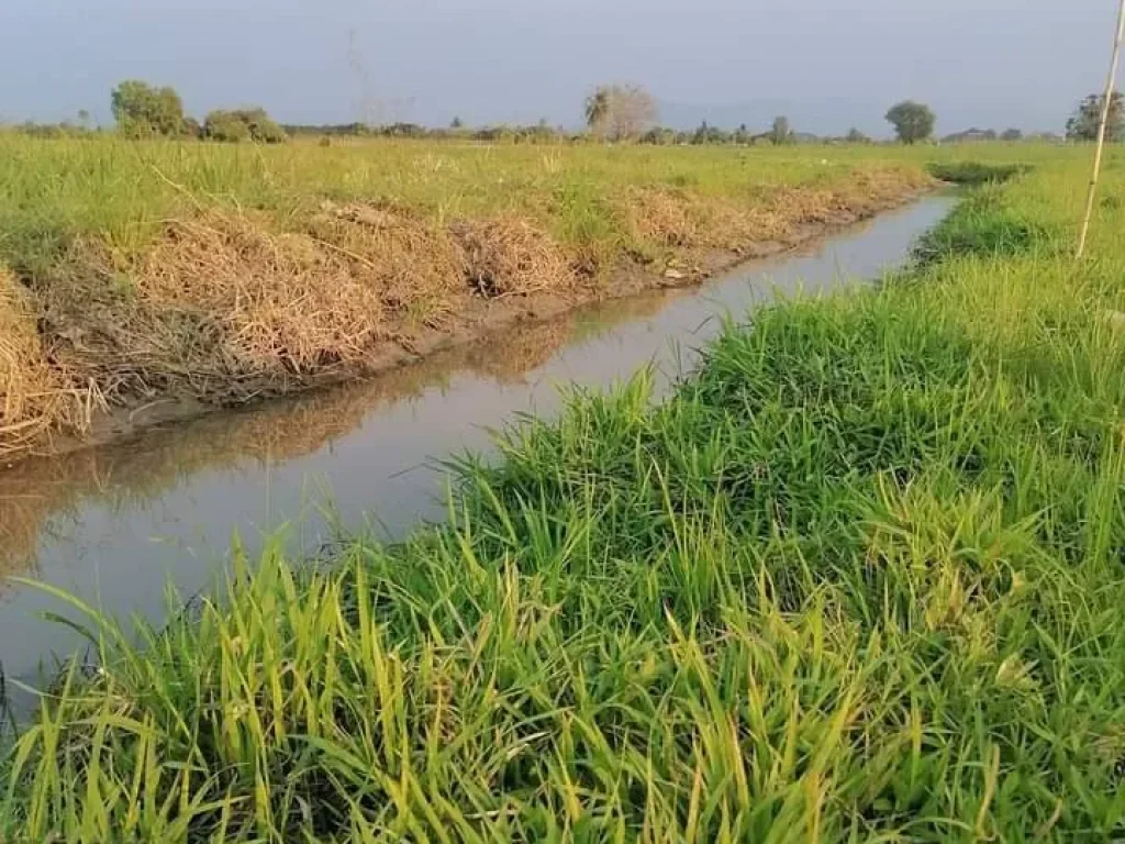 ขายที่นาถนนคอนกรีตติดลำเหมืองจอมทองวิวดอยโฉนดพร้อมโอนราคาถูก