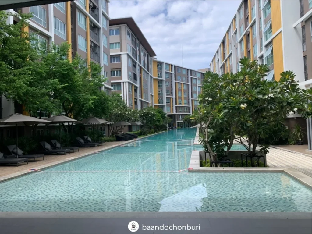 ขาย Dcondo campas resort Bangsaen by Sansiri ห้องสวย ใกล้มบูรพา ชลบุรี