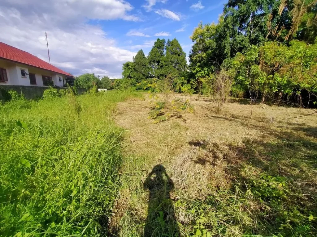 ขายที่ดิน 1ไร่ หนองแหย่ง ทุ่งข้าวตอก สันทราย เจ้าของขายเอง