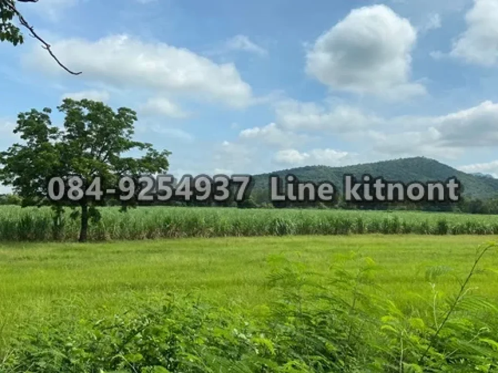 ที่ดินติดถนน รพชหมายเลข 4016 เนื้อที่18 ไร่ 3 งาน 76 ตรว ต มหาโพธิ อสระโบสถ์ จลพบุรี