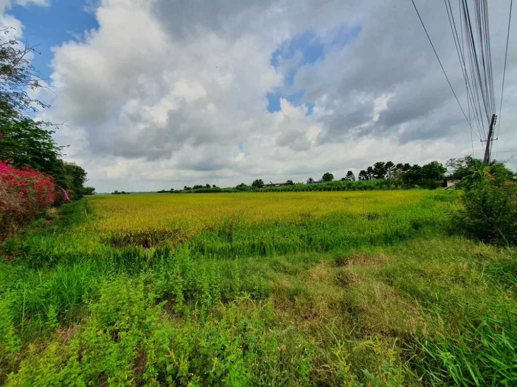 ขายด่วน ขายที่ดินปทุมธานี ลำลูกกา เจ้าของขายเองติดถนนใหญ่