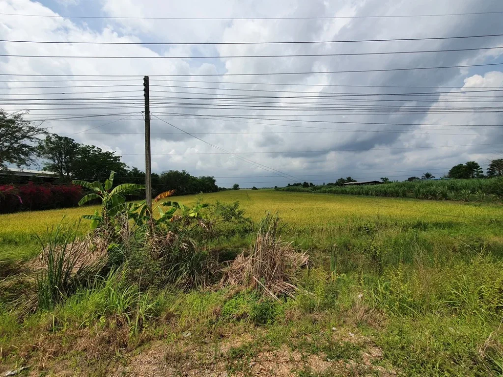 ขายด่วน ขายที่ดินปทุมธานี ลำลูกกา เจ้าของขายเองติดถนนใหญ่