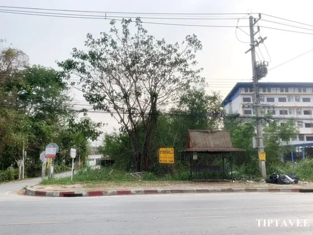 ขายที่ดิน 1 ไร่ เศษ ที่ดินริมถนนใหญ่ ใกล้ประปาสันกำแพง เชียงใหม่ Land on 1006 Road for SALE Near Sankamphaeng Water Works Chiangmai THAILAND