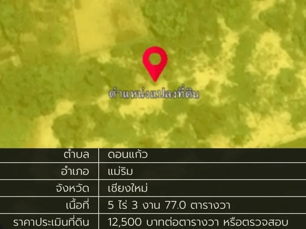 ขายที่ดินผังเหลืองติดถนน 5-3-77 ไร่ ตดอนแก้ว แม่ริม เชียงใหม่