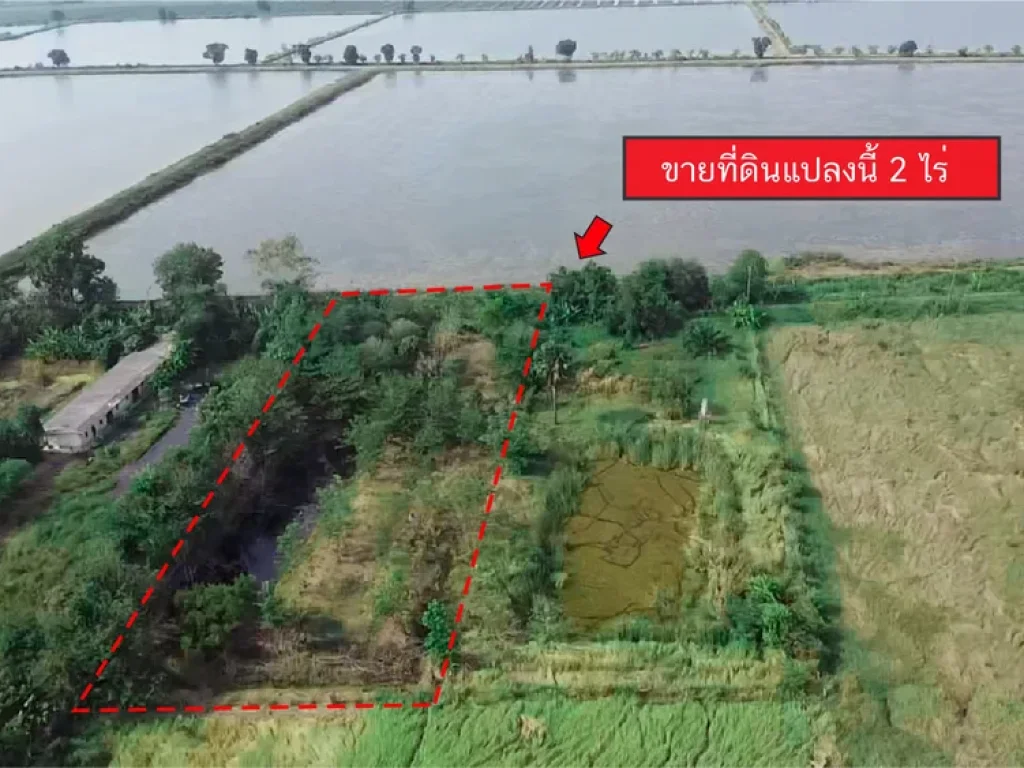 ขายที่ดิน 2 ไร่ คลอง 14 อหนองเสือ จปทุมธานี ฟรีค่าโอน ขาย 169 ล้านบาท