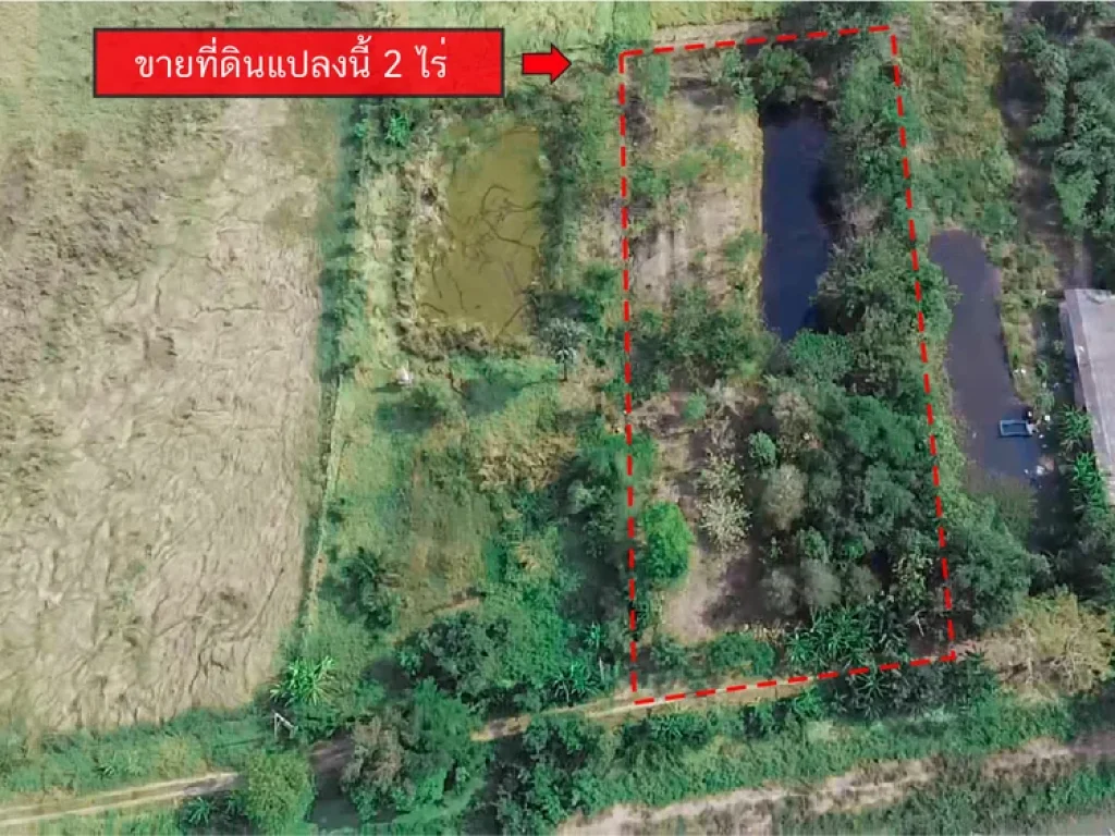 ขายที่ดิน 2 ไร่ คลอง 14 อหนองเสือ จปทุมธานี ฟรีค่าโอน ขาย 169 ล้านบาท