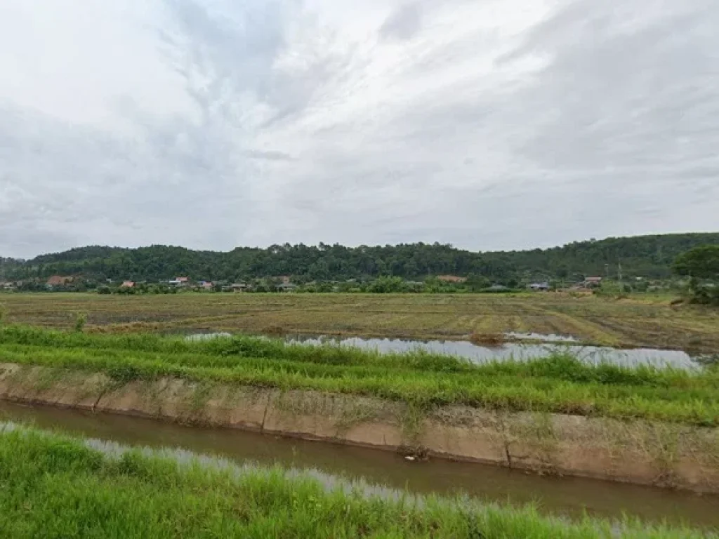 ที่ดินที่นา เนื้อที่ 2 ไร่ ที่ดินวิวดอยหลวง สงบ ใกล้ชิดธรรมชาติ ตเชียงดาว อเชียงดาว จเชียงใหม่