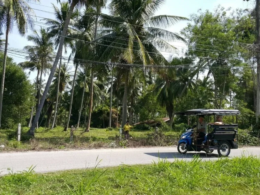 ประกาศขายที่ดินเปล่า ตห้วยยาง อทับสะแก จประจวบคีรีจันธ์