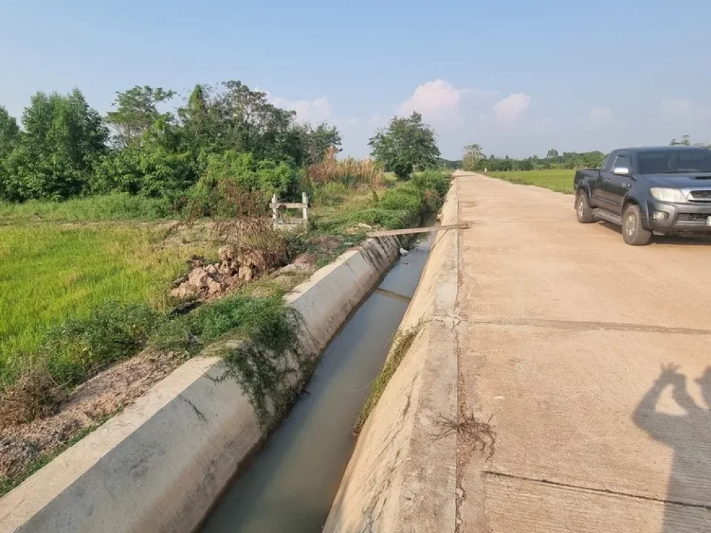 ขายที่นาสวย 3 ไร่ ตลาดสรรพยา ชัยนาท วิวสวย ทำเลดีมาก ใกล้ถนนใหญ่