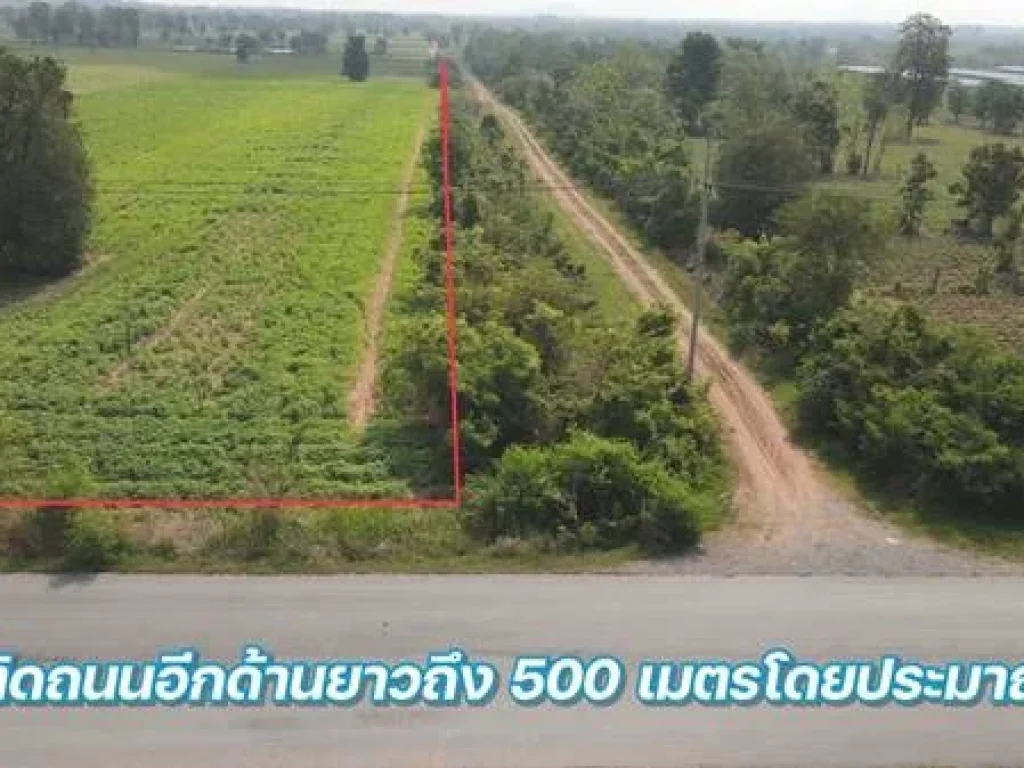 ขายที่ดินแปลงสวยขนาด 50-0-425 ไร่ พื้นที่สีม่วง อพัฒนานิคม จลพบุรี