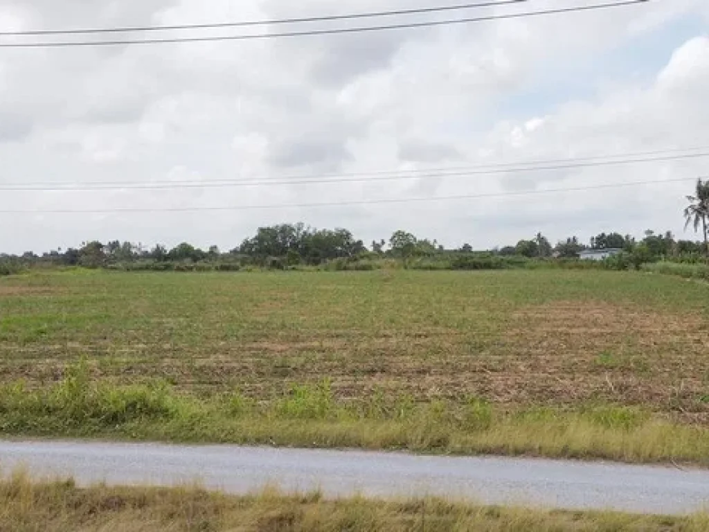 ขาย ที่ดิน ตดอนปรู อศรีประจันต์ จสุพรรณบุรี ติดคลอง ติดทางสาธารณประโยชน์